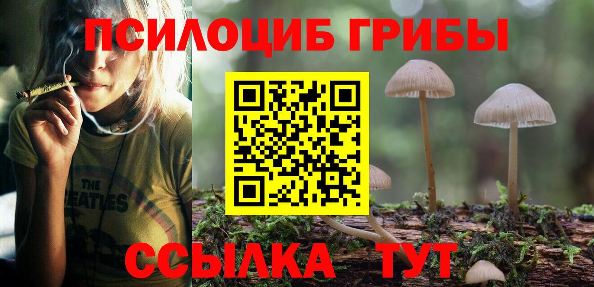 Галлюциногенные грибы Magic Shrooms Павловский Посад