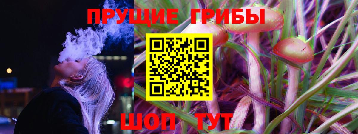 Псилоцибиновые грибы Cubensis  Псилоцибиновые грибы GOLDEN TEACHER  Вход с VPN  Павловский Посад 