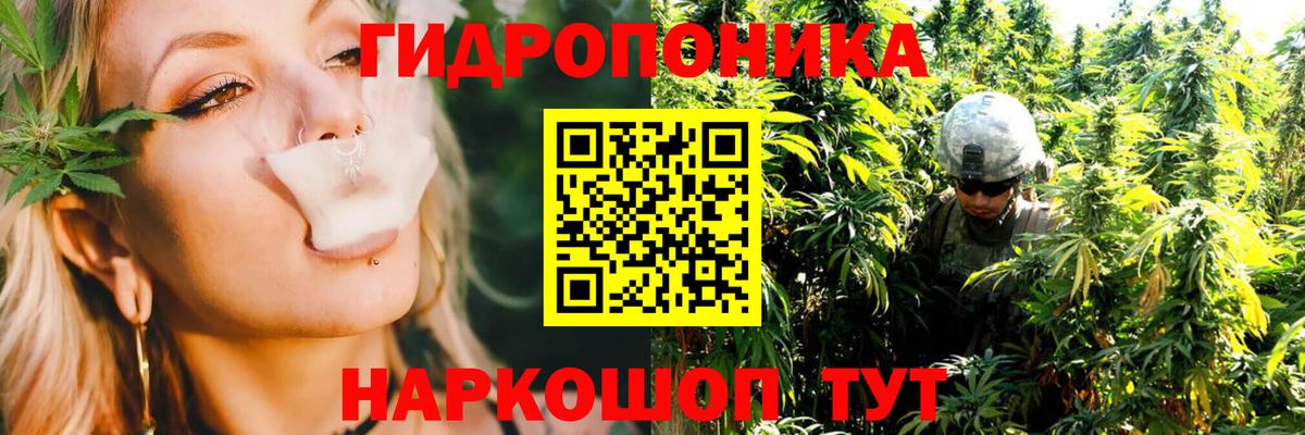 Конопля Bruce Banner Павловский Посад